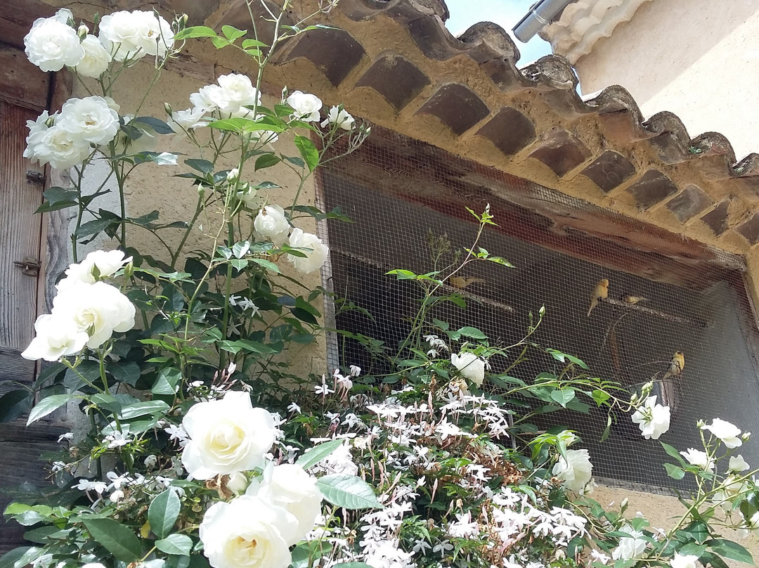 Saint-Maurice-sur-Eygues酒店住宿-L'Ecole Buissonniere Provence