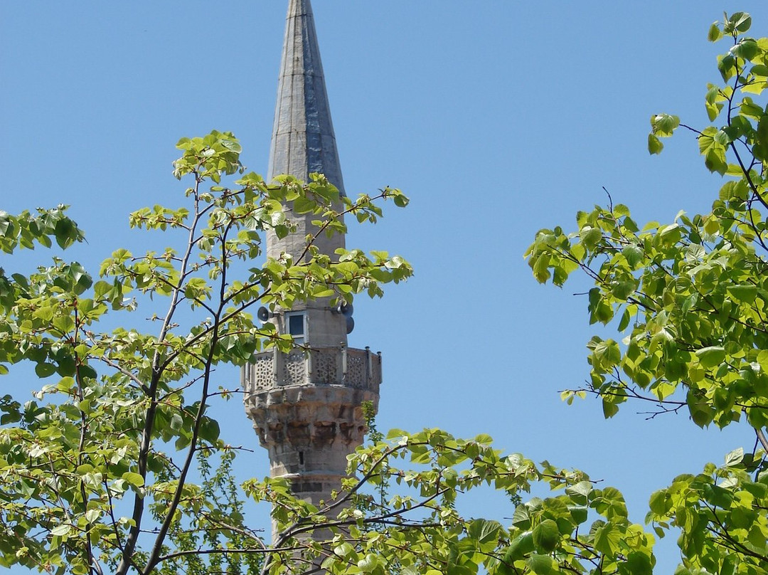 Cedid Ali Pasa Camii-泰基尔达必去景点