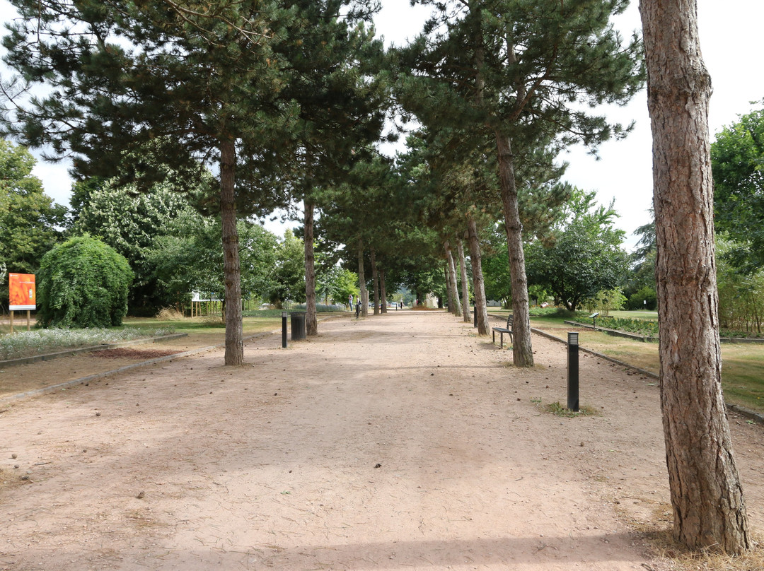 Jardin Botanique景点图片