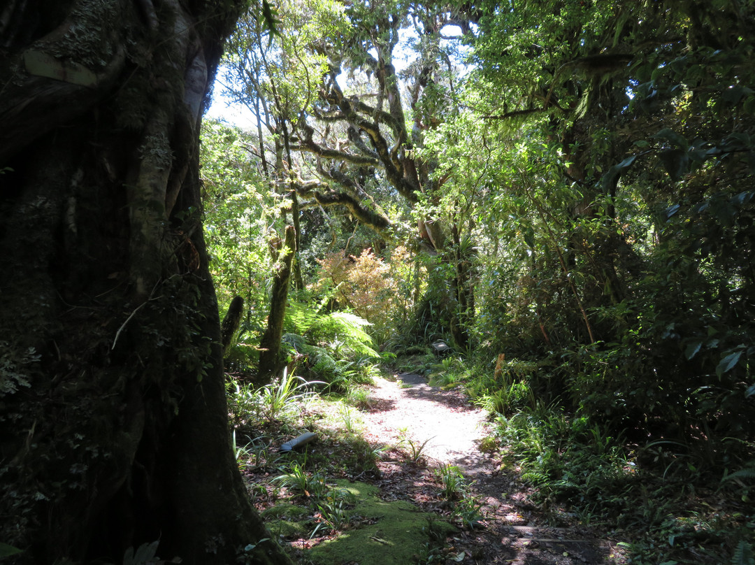 Connett Loop Track景点图片