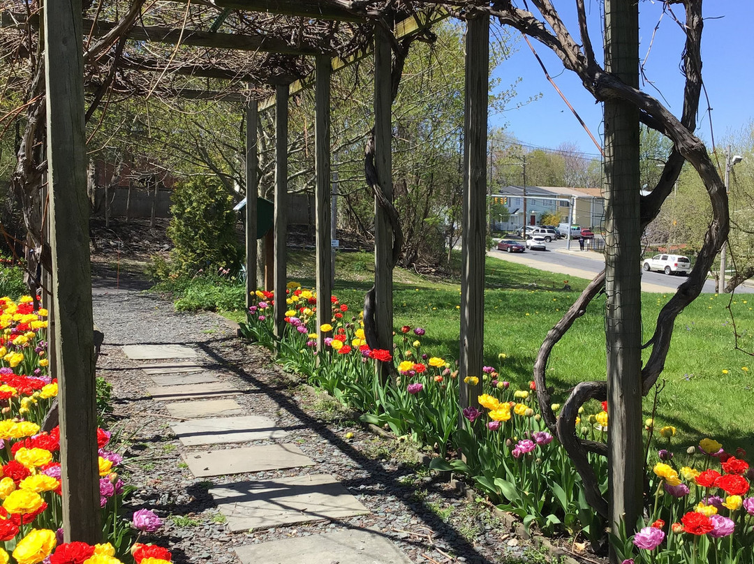 Albany County Historical Association-奥尔巴尼必去景点