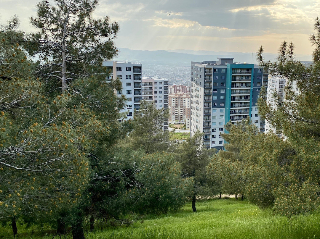Goizha And Azmar Mountains-苏莱曼尼亚必去景点