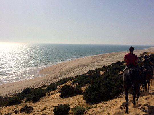 Discovering Andalucia Tours and Excursions-塞维利亚必去景点