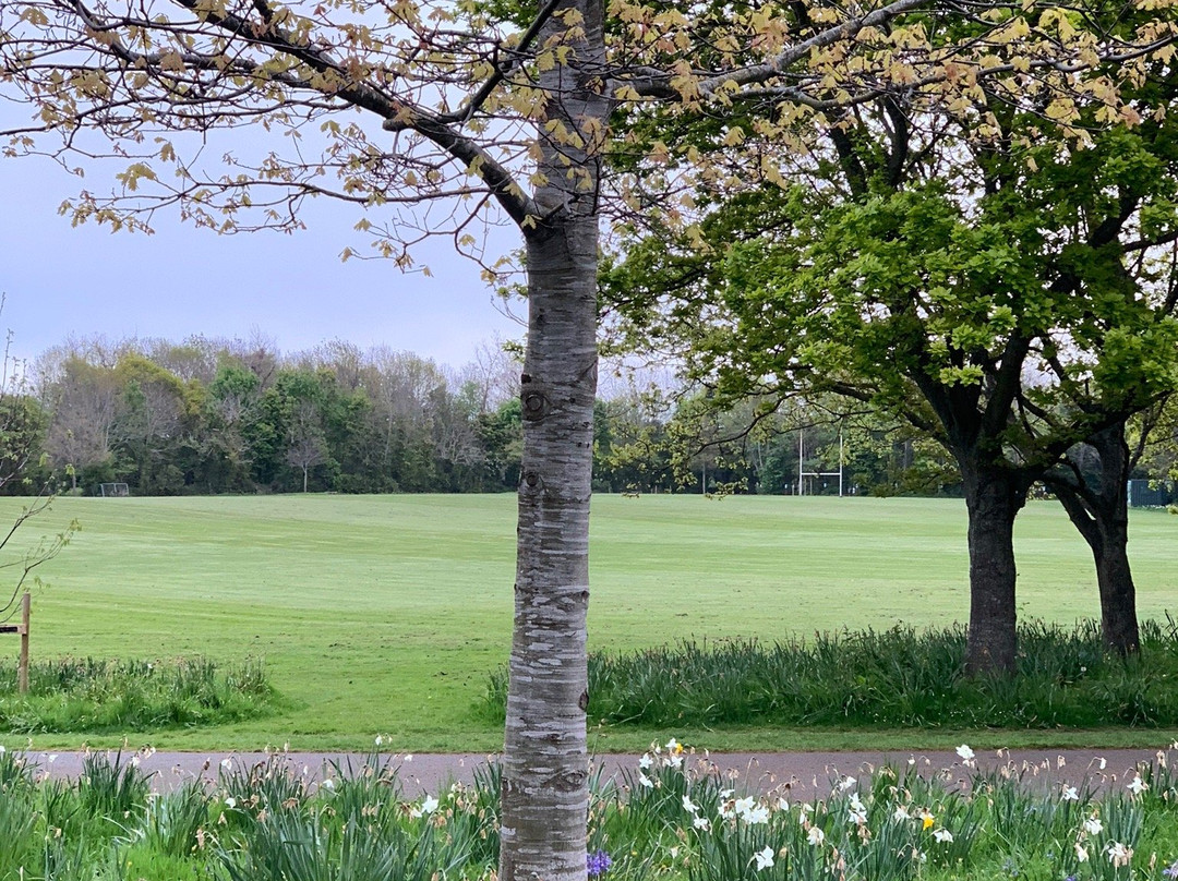 Shanganagh Park-Shankill必去景点