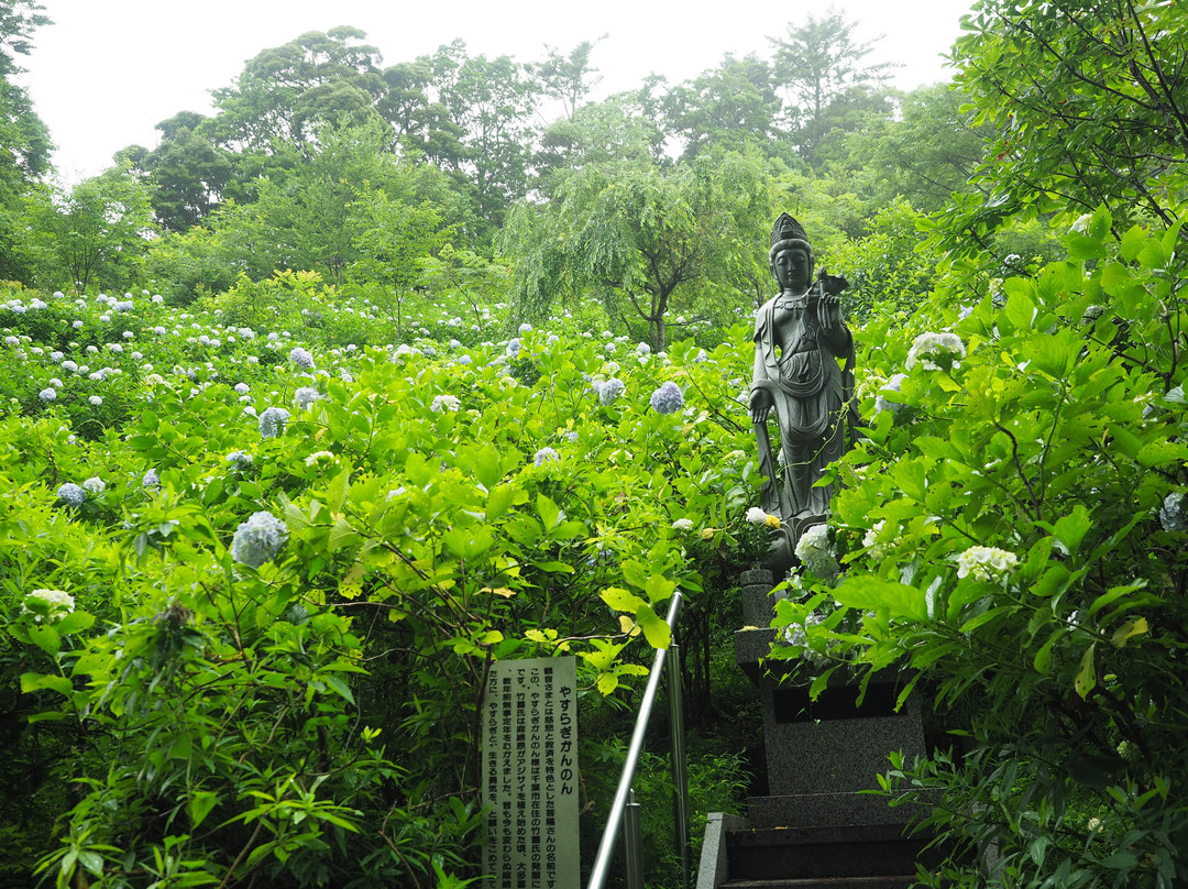 Myohoshoji Temple-大多喜町必去景点