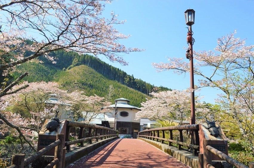 Naokawa Ikoi no Mori Park-佐伯市必去景点