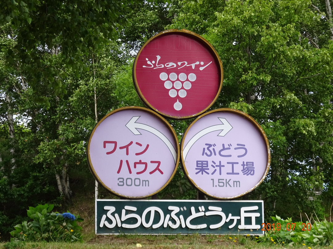 Furano Budogaoka Park-富良野市必去景点