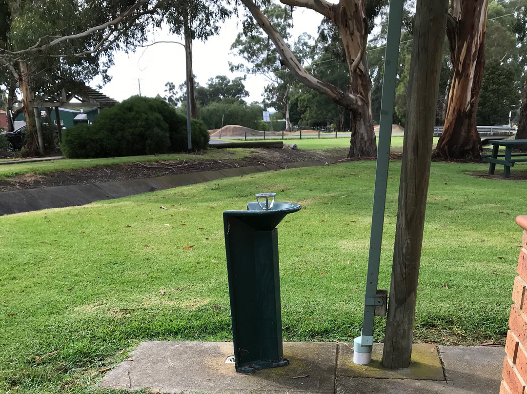 Traralgon Jaycees Tyers Community Park Playground景点图片