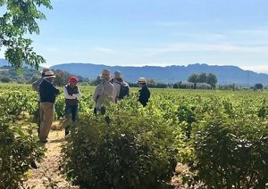Private Wine Tasting Tours - Visites privées du domaine et dégustation-Cairanne必去景点