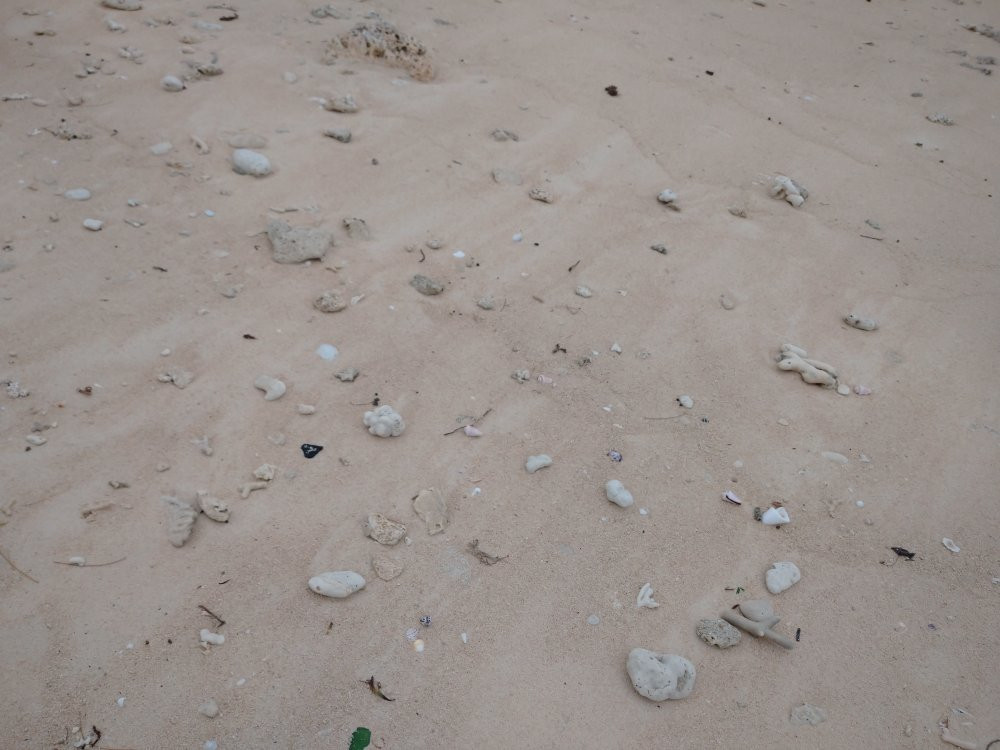 Furusato Kaihin Park-多良间村必去景点