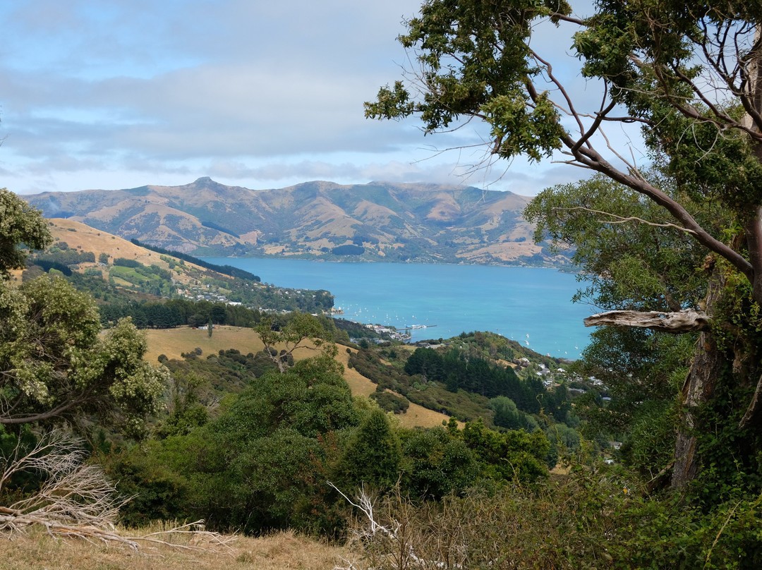 Hinewai Reserve-阿卡罗阿必去景点