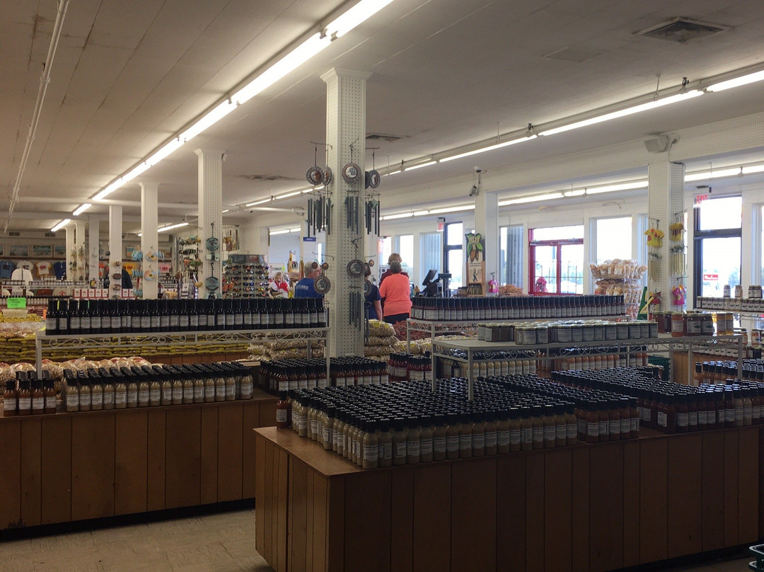 Magnolia Plantation-蒂夫顿必去景点