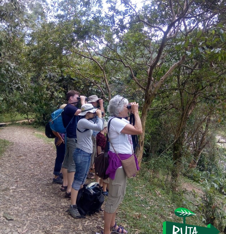Ruta Natural景点图片