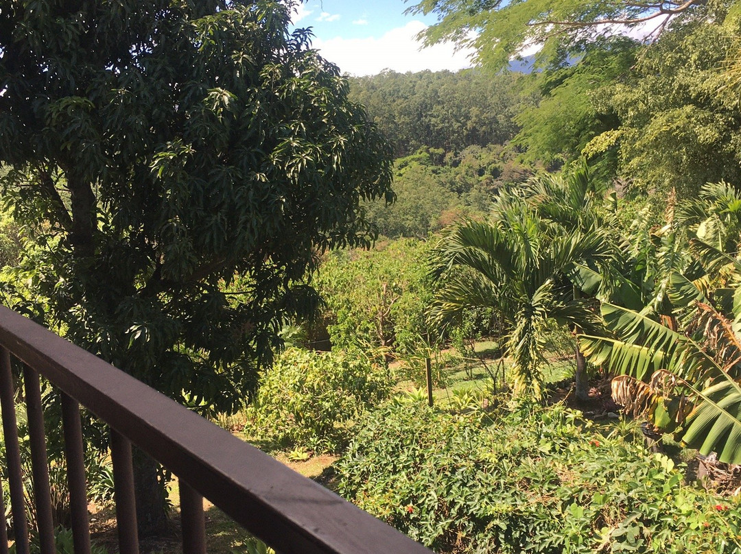 Vista Linda Montaña主图