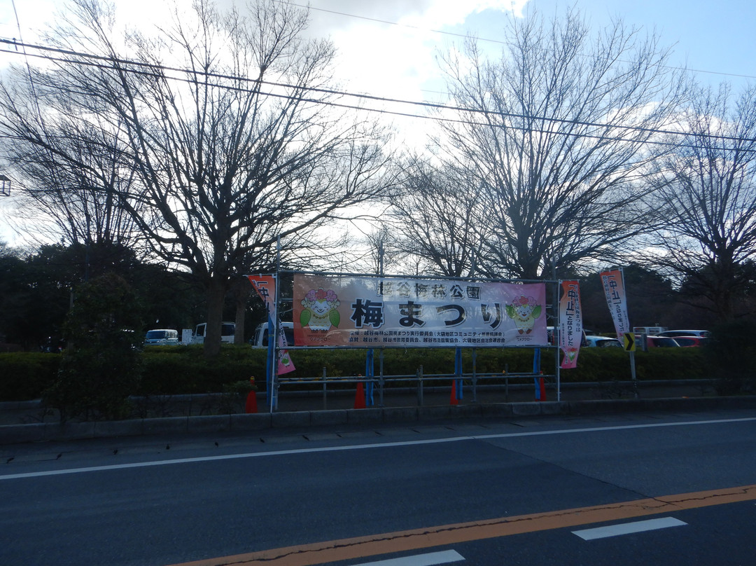 Koshigaya Bairin Park景点图片