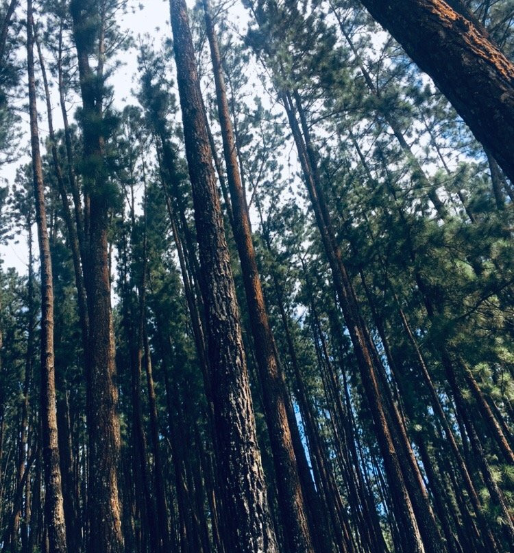 Riverston-Matale必去景点