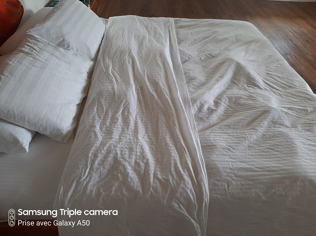 萨拉蒙卡海滩及潜水度假村主图