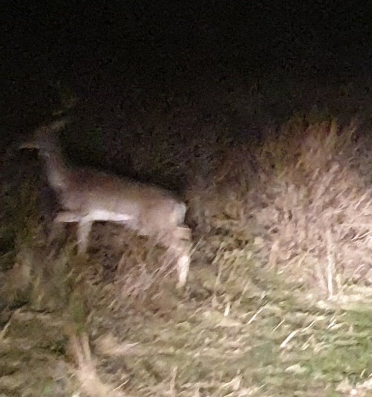 Strand IJmuiderslag-Ijmuiden必去景点