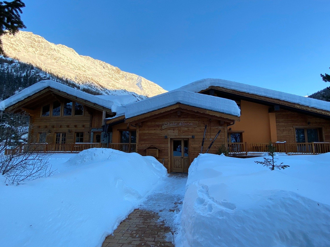 Chalet Alpina Hotel & Apartments主图