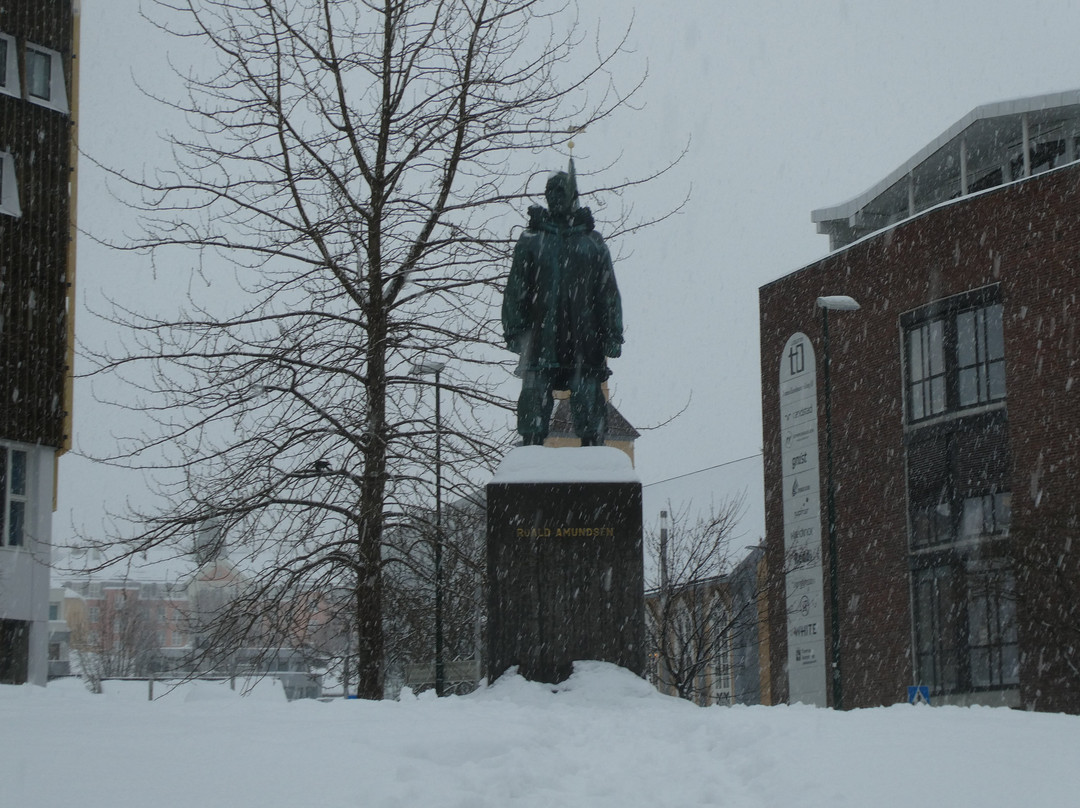Roald Amundsen Monument-特罗姆瑟必去景点