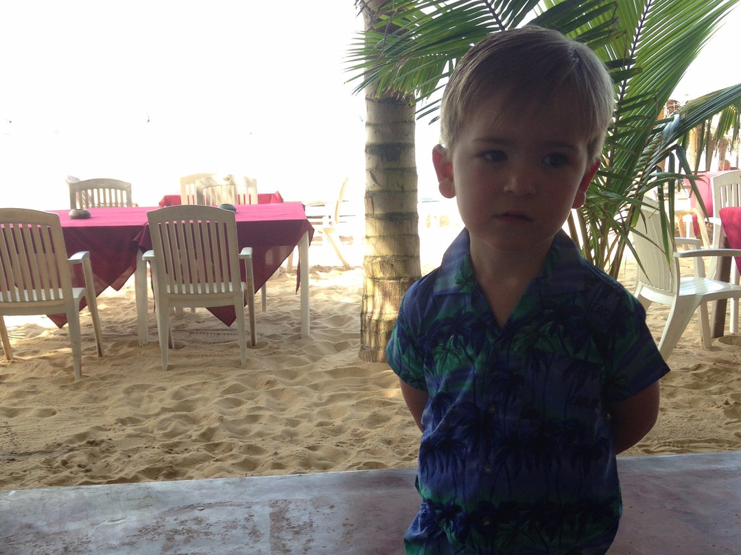 Ceylon Island Tours-科奇克德必去景点