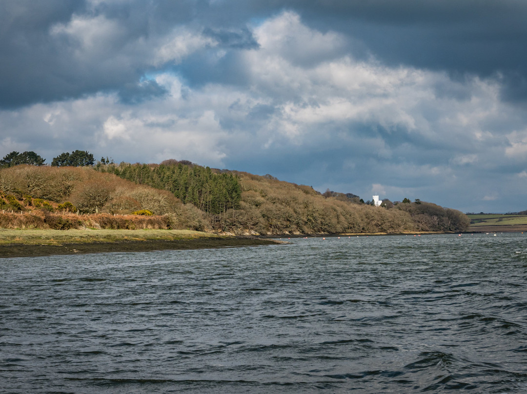 Discover Coast & Cleddau Boat Trips-Milford Haven必去景点