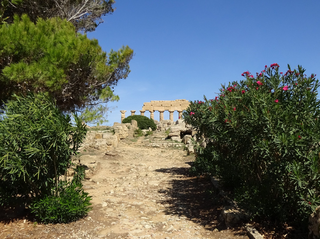 Parco Archeologico Selinunte-Castelvetrano必去景点