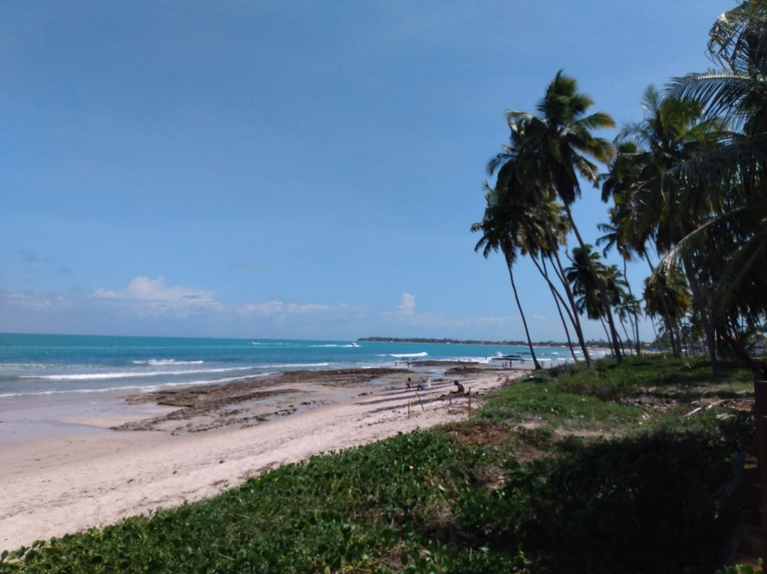 Carneiros Paradiso主图