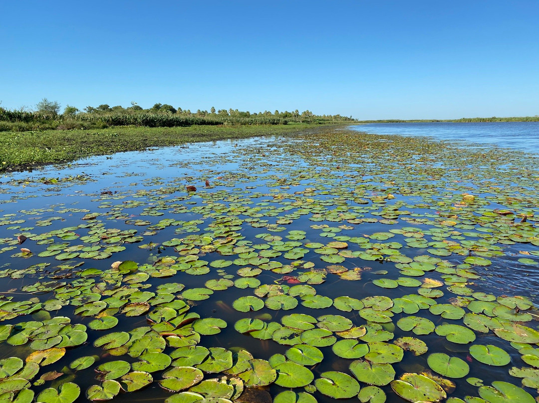 BioIBERA Tourism-Colonia Carlos Pellegrini必去景点