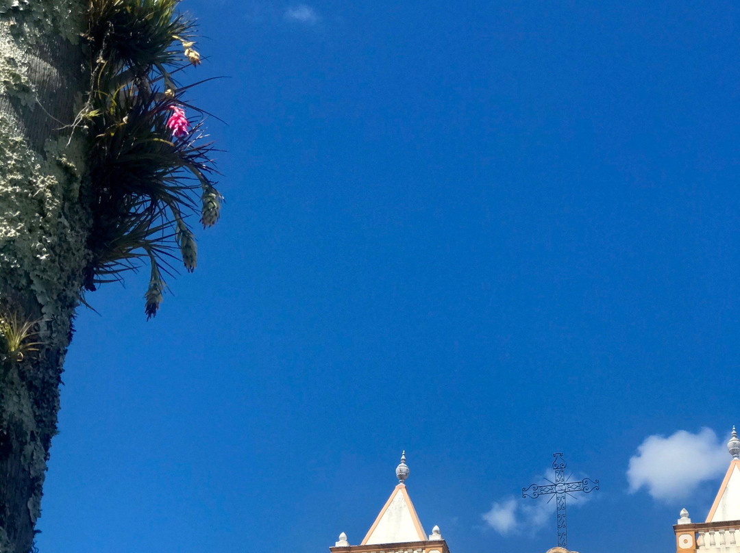 Paróquia Nossa Senhora da Lapa景点图片