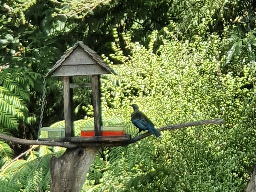 Gully Retreat Karapiro主图