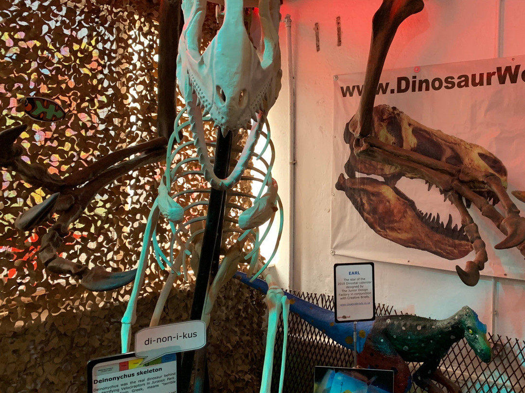 Dinostar - Hull's Dinosaur Experience景点图片