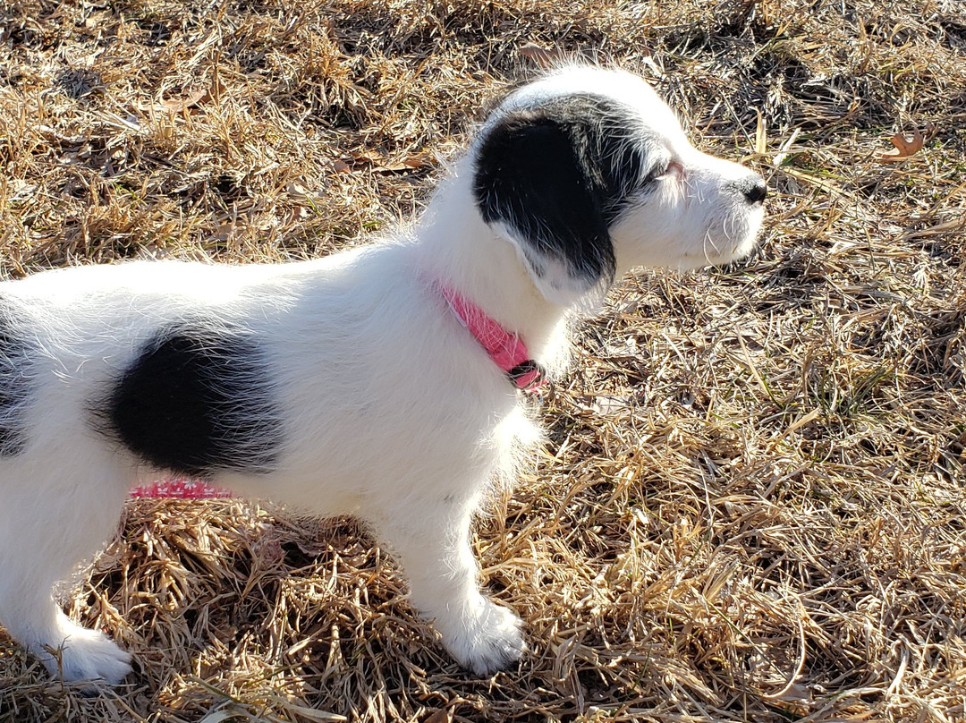Stowe Farm-Millbury必去景点