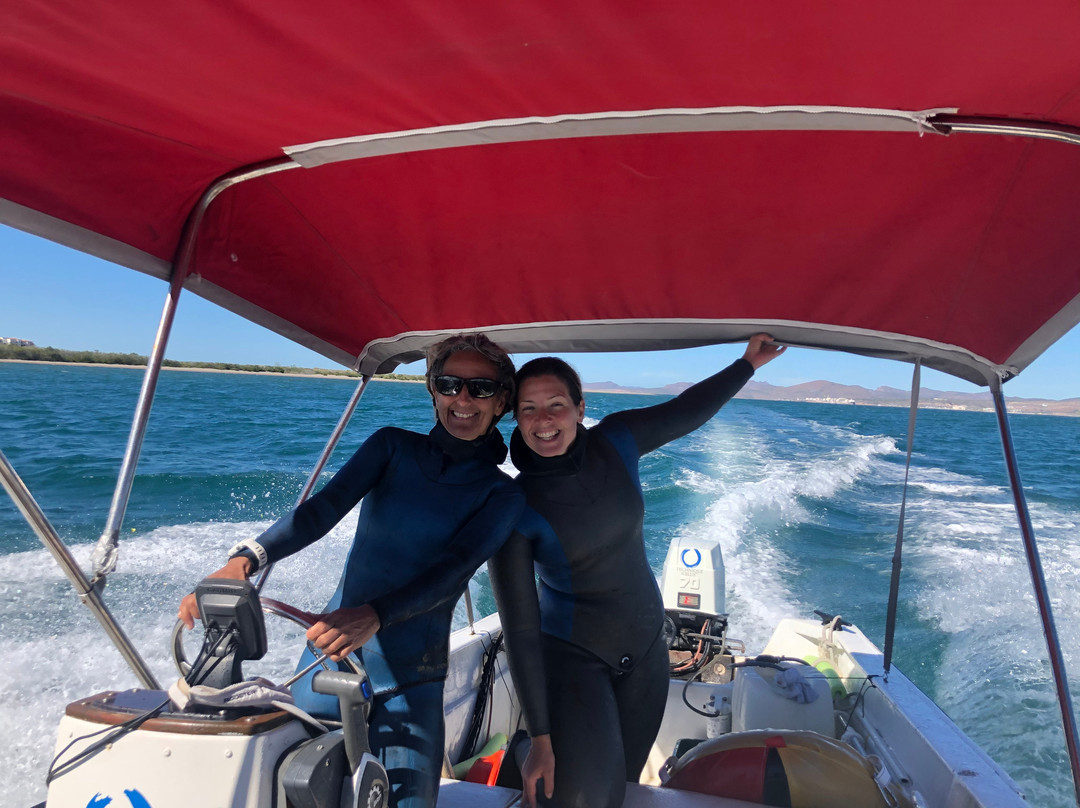 MT Solomons Freediving-拉巴斯必去景点