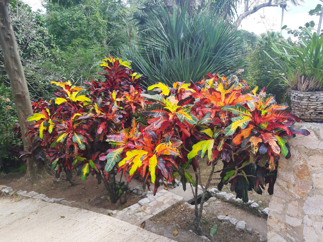 Soroa Orchid Botanical Garden-Soroa必去景点