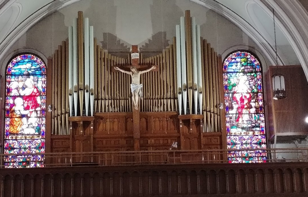 St. Patrick Cathedral-埃尔帕索必去景点