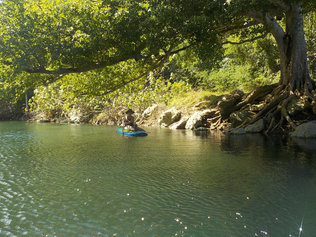 Verde Azul Surf & Stand Up Paddleboard Shop-Aguadilla必去景点