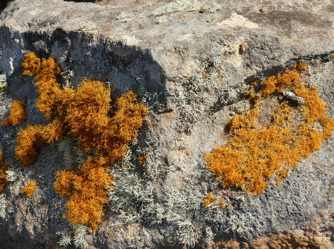 众神花园-拉奈市必去景点