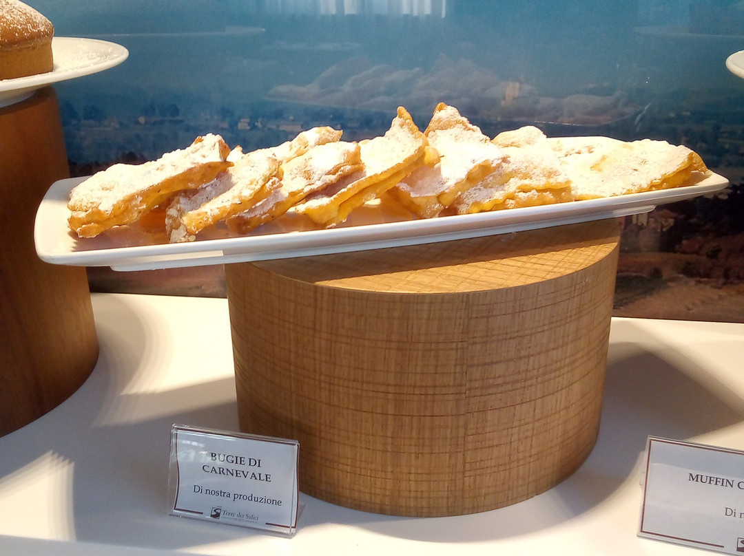 Hotel Terre dei Salici主图