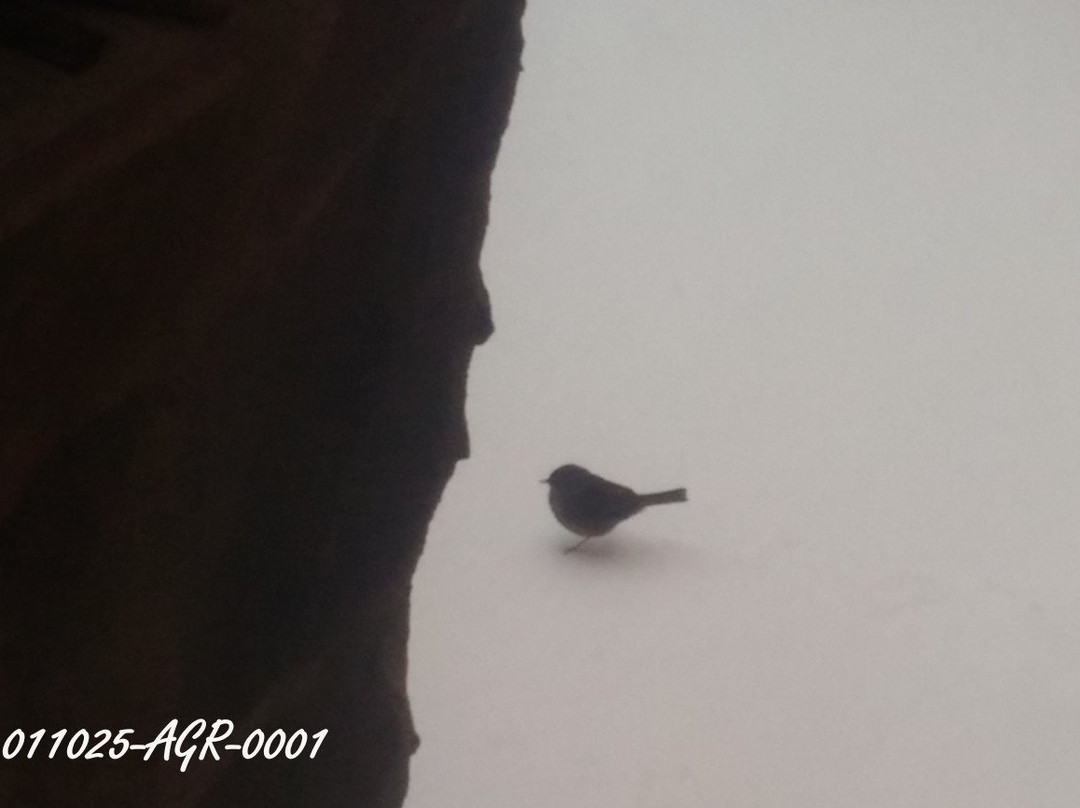 Agriturismo dei Monti Liguri e Cinque Terre主图