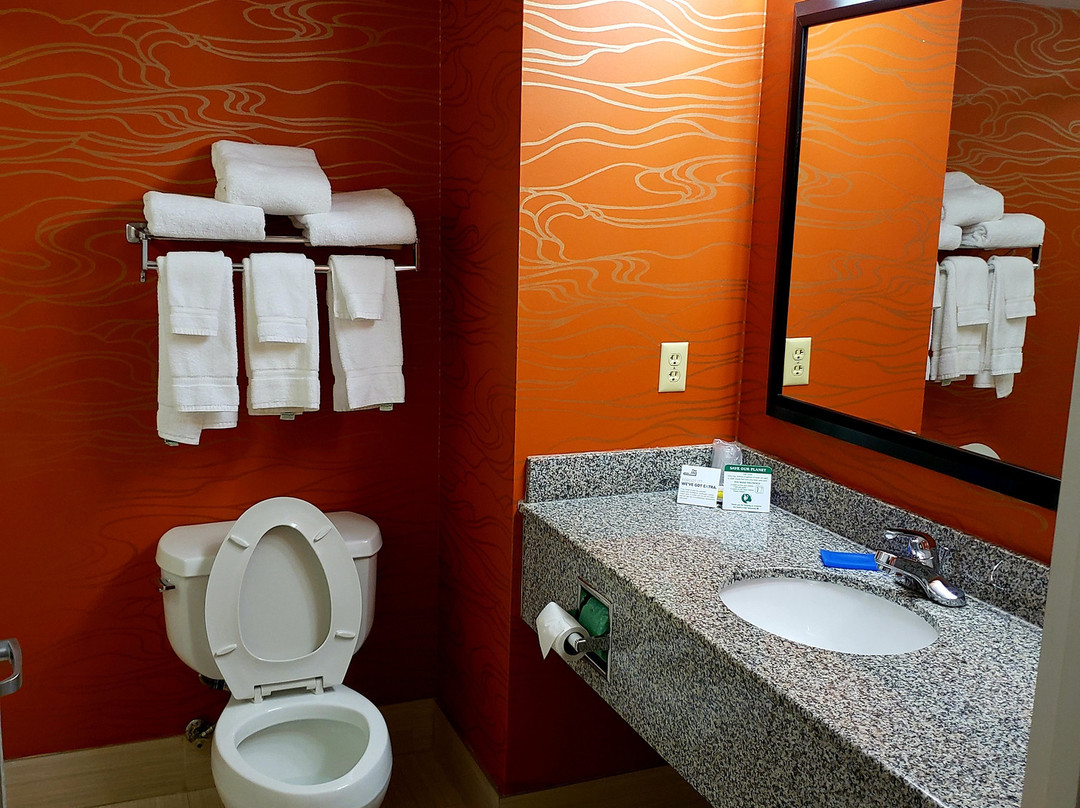 Holiday Inn Express & Suites Richmond-Brandermill-Hull St. by IHG主图