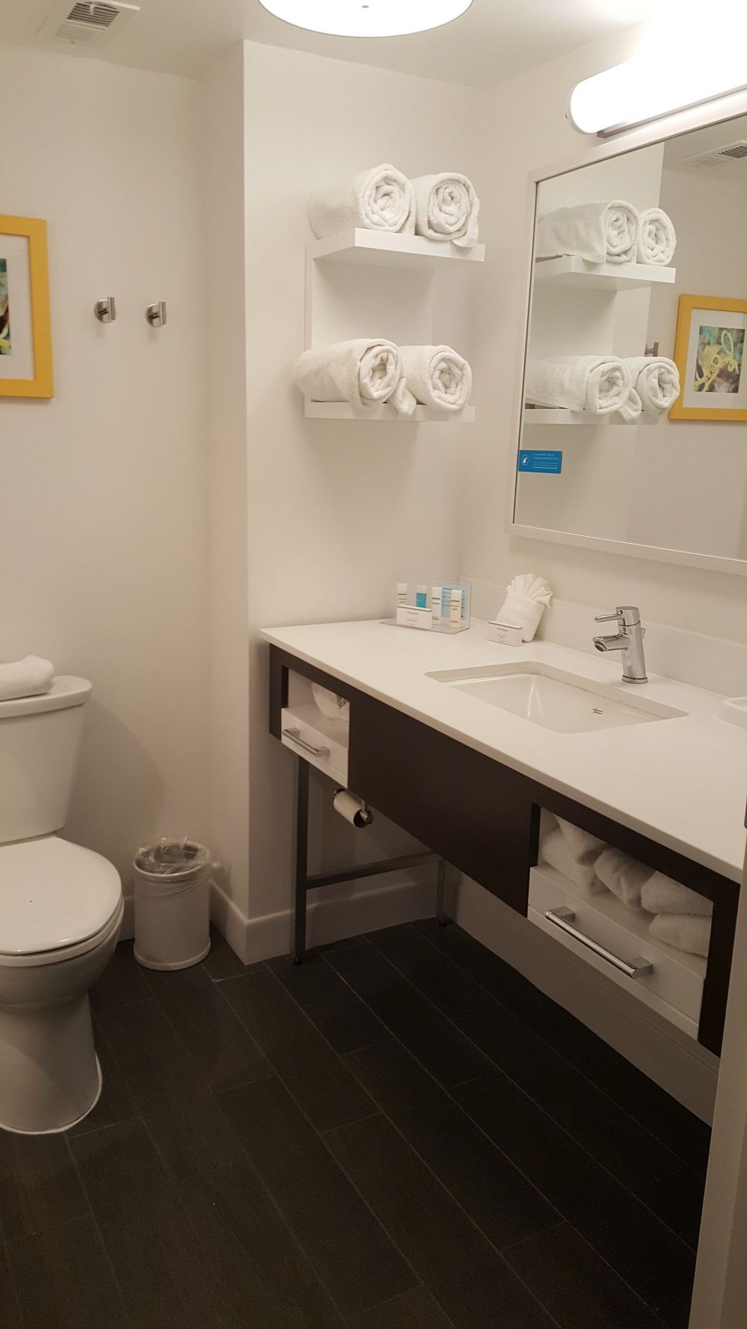 Hampton Inn Los Angeles - Santa Clarita-浴室