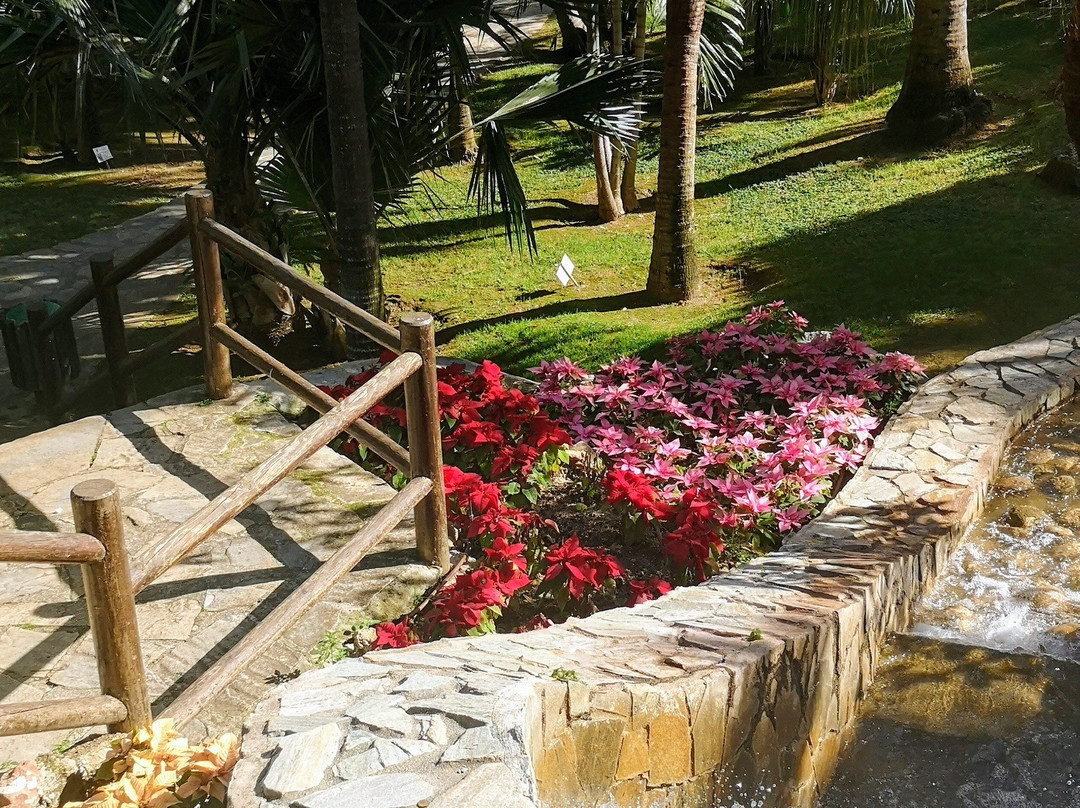 Jardin Botanico Molino de Inca景点图片