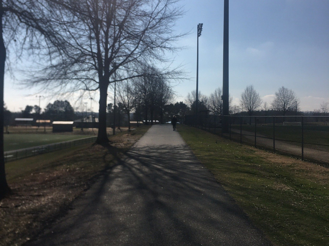 Central Park-卡明必去景点