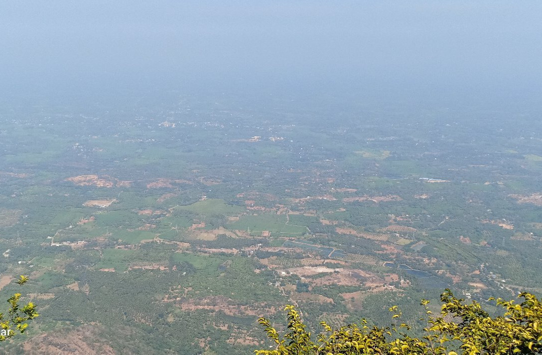 Meenampara View Point-Nelliyampathy必去景点