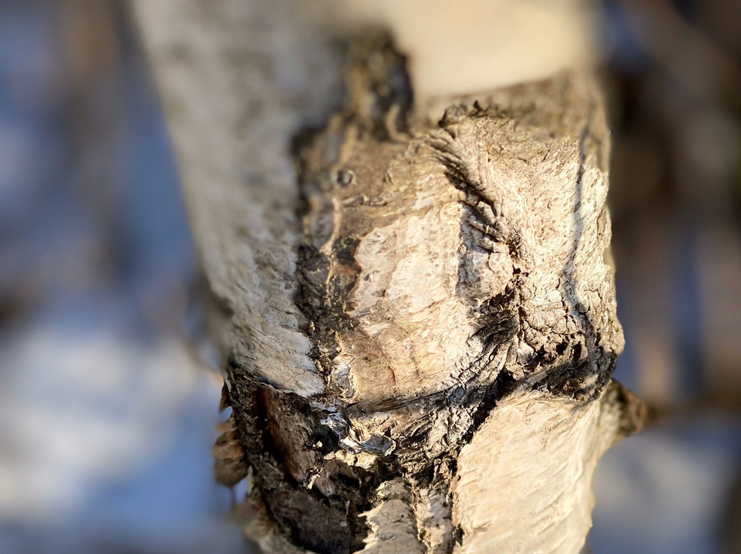 Kalchkendlalm - A School on the Mountain-萨尔茨堡必去景点