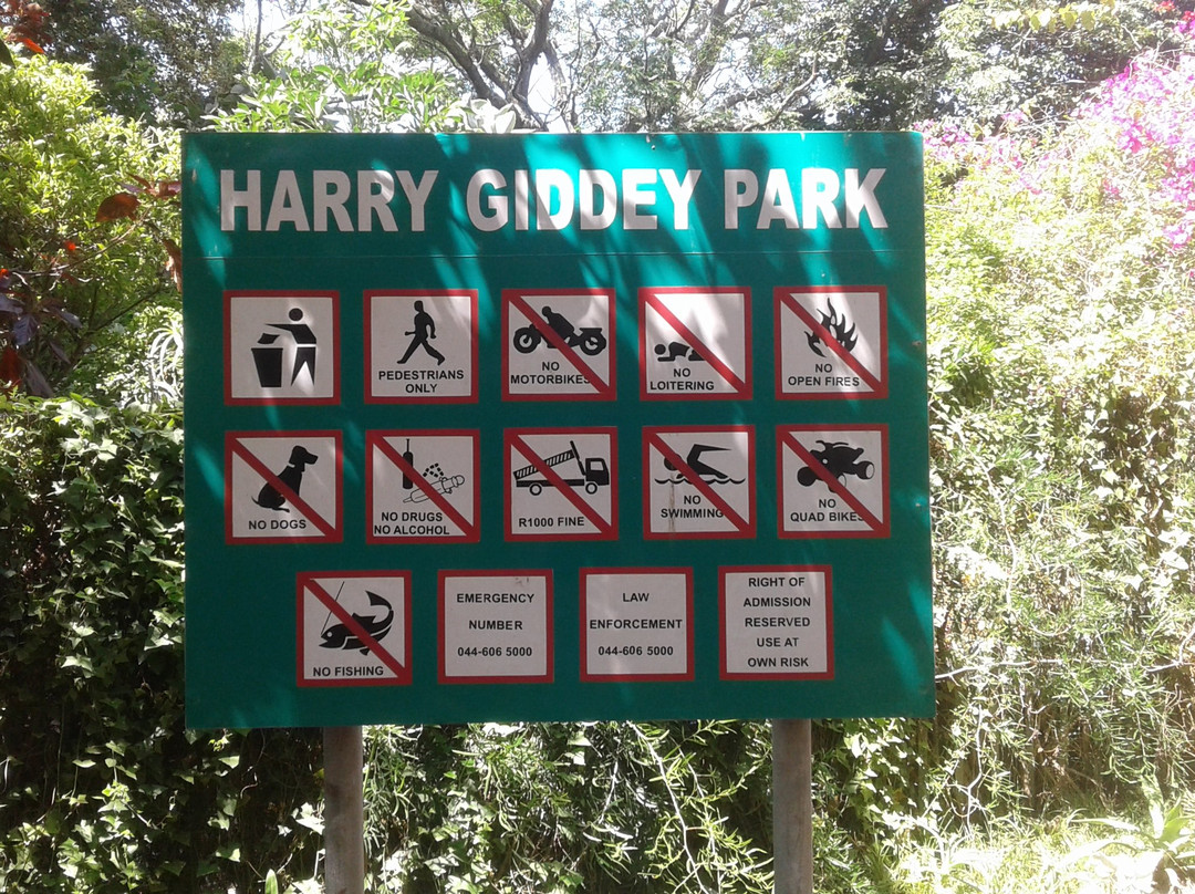 Harry Giddy Park景点图片