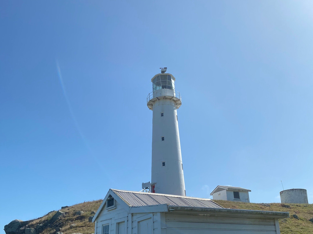 Cape Egmont Lighthouse-Pungarehu必去景点
