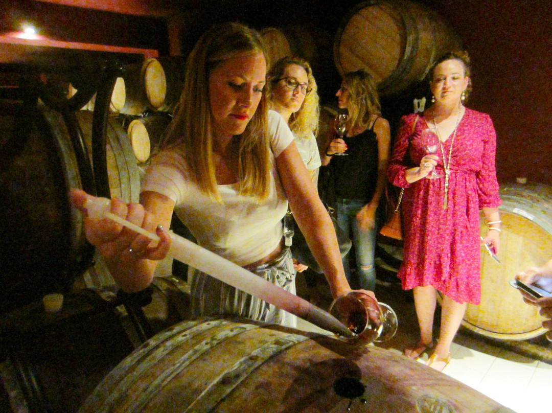 Nasimi's Wine Tours-巴库必去景点