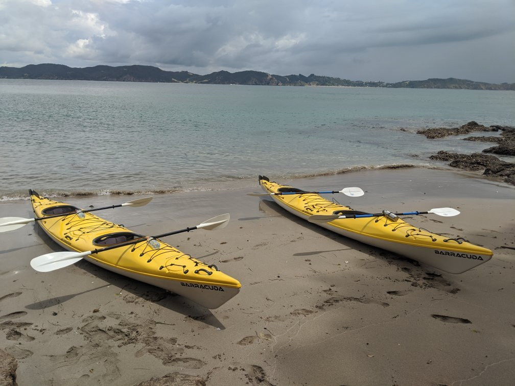 Bay of Islands Kayaking-派希亚必去景点